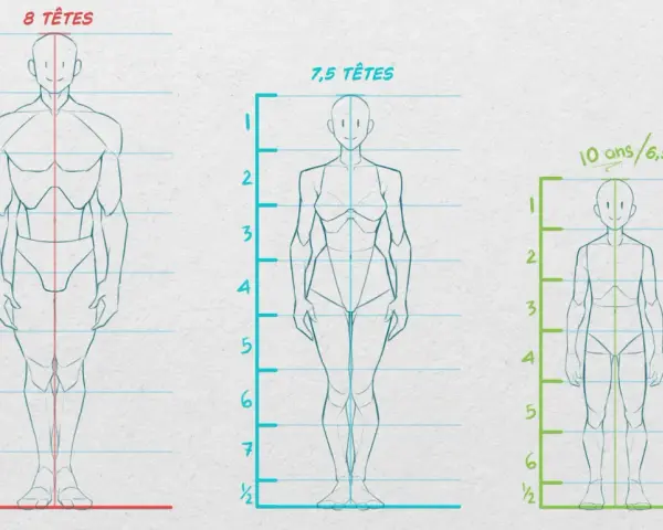Comparaison des proportions corps humain : 8 têtes, 7,5 têtes et 6,5 têtes pour un enfant de 10 ans.