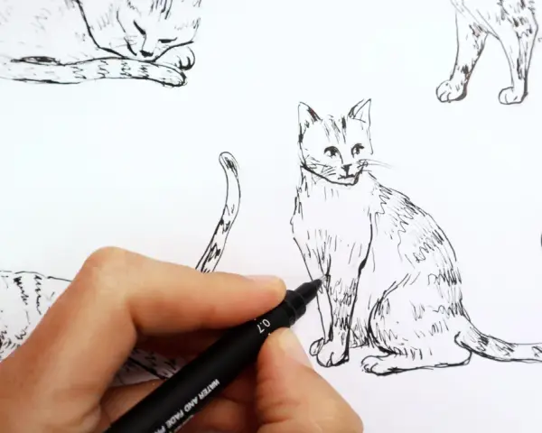 Main d'artiste en train de dessiner un chat réaliste au feutre noir. Plusieurs croquis de chats sont visibles.