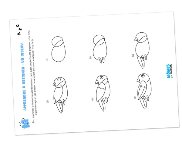 Apprenez à faire un dessin oiseau sur une branche facile en suivant ces 6 étapes simples. Un guide ludique pour les enfants.