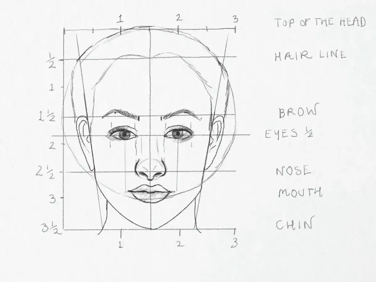 Dessin d'un visage de femme avec des lignes de construction pour guider les proportions.