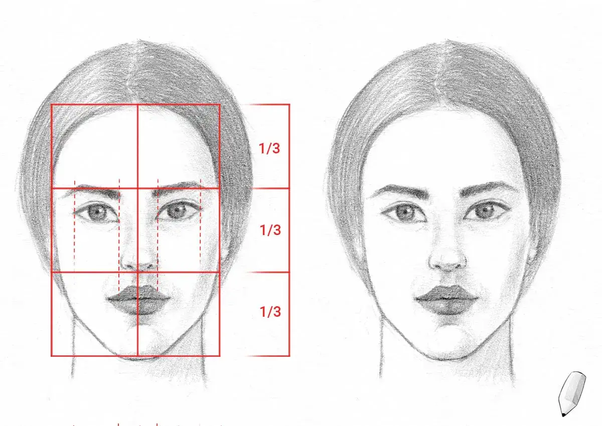 Autoportrait dessin : une face est divisée en tiers pour montrer les proportions, l'autre est un dessin fini.